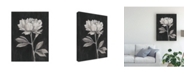 Trademark Global Ethan Harper Black and White Flowers III Canvas Art - 27" x 33.5"
